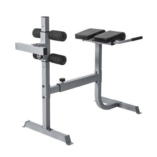 CAP Strength Roman Chair (FM-CS709)
