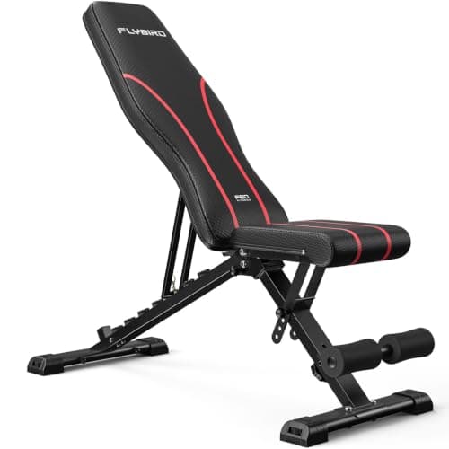 FLYBIRD WB2 Adjustable Bench